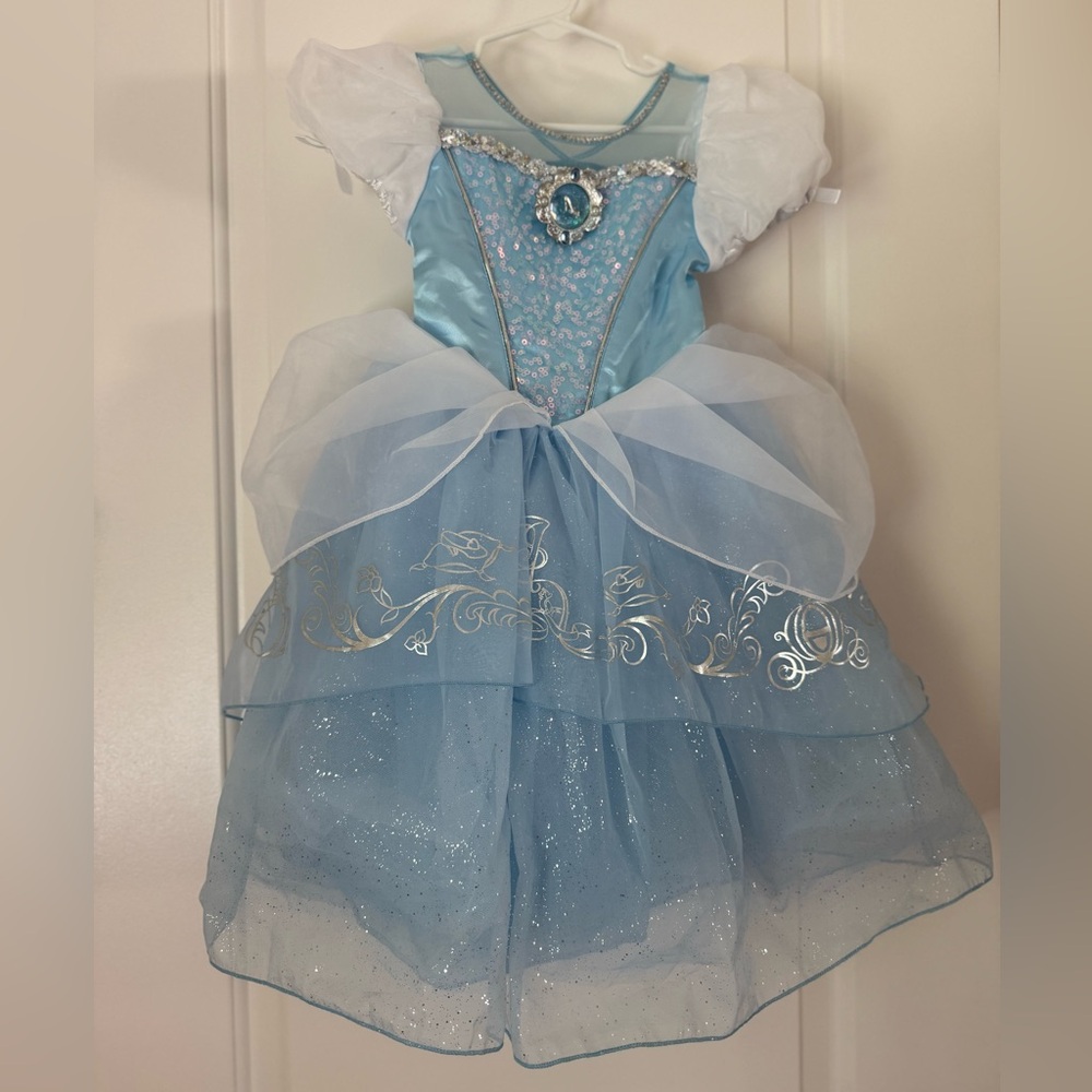 Disney Cinderella Princess Costume